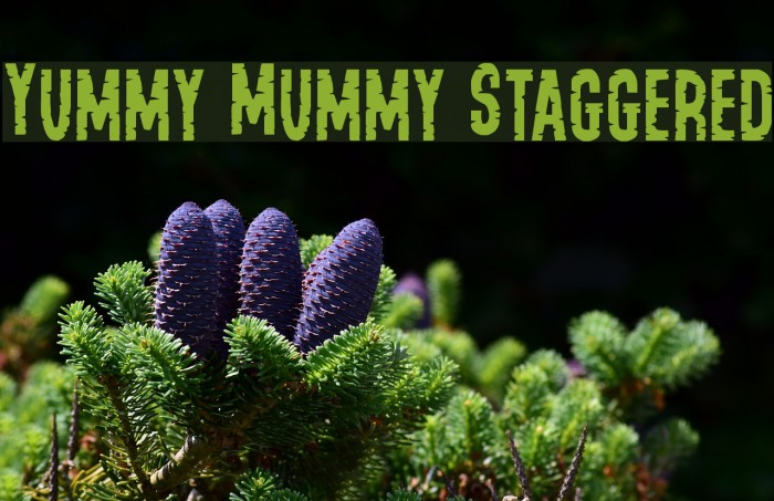 Yummy Mummy Staggered Font examples