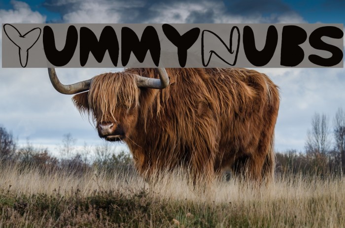 Yummy Nubs Example 1