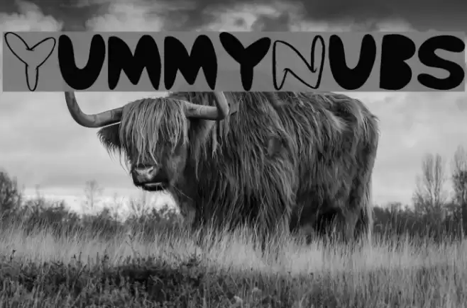 Yummy Nubs Font examples