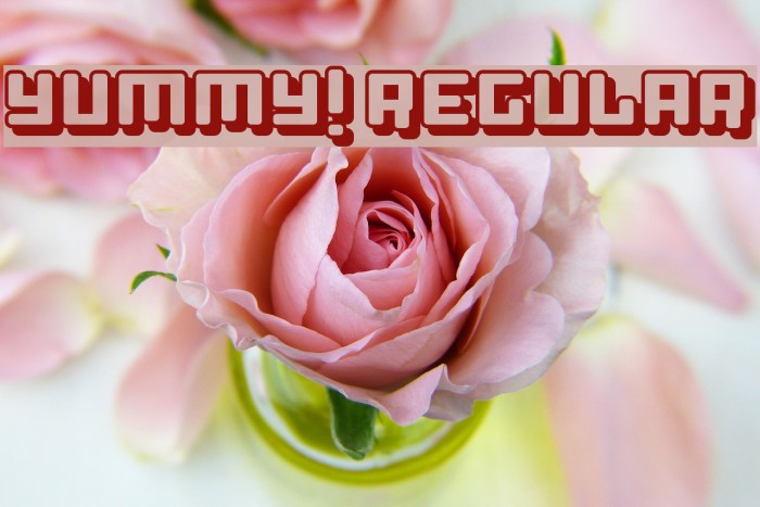 Yummy! Regular Font examples