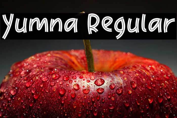 Yumna Regular Example 2