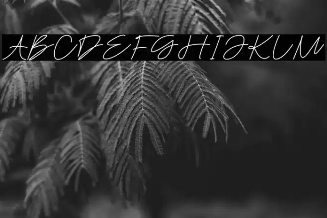 Yumoda Schriftart examples