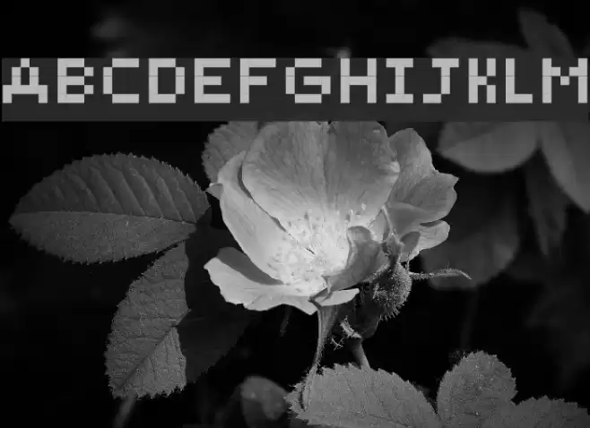 Yunapixel Font examples