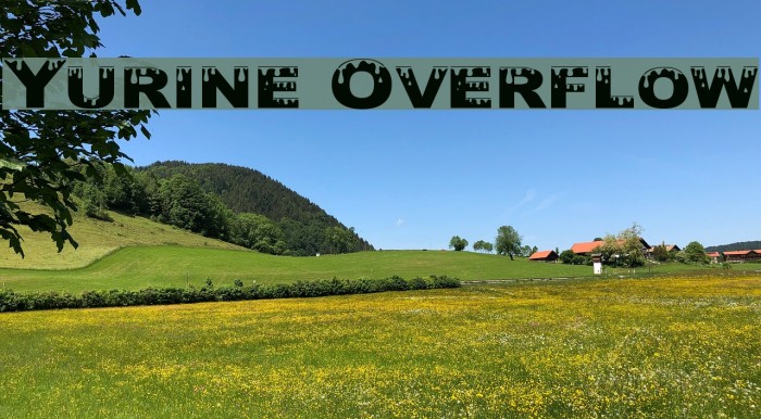 Yurine Overflow Шрифта examples