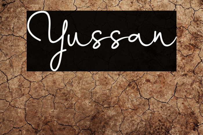 Yussan Font examples