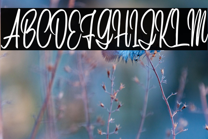 YustinScriptDEMO-Regular Example 1