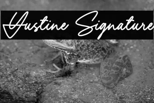 Yustine Signature Font examples