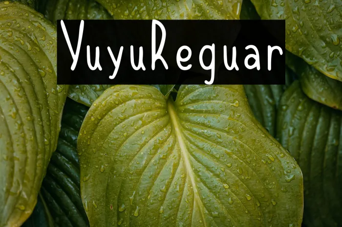 Yuyu Regular Example 3