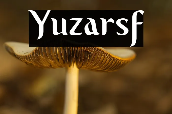 Yuzarsif Example 3