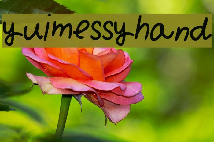 yuimessyhand Font examples