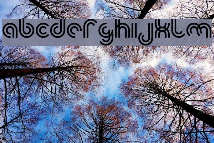 yum Font examples