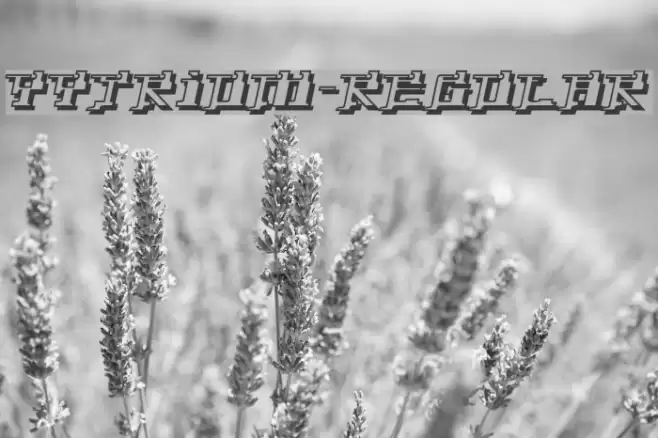 Yytrium-Regular Font examples