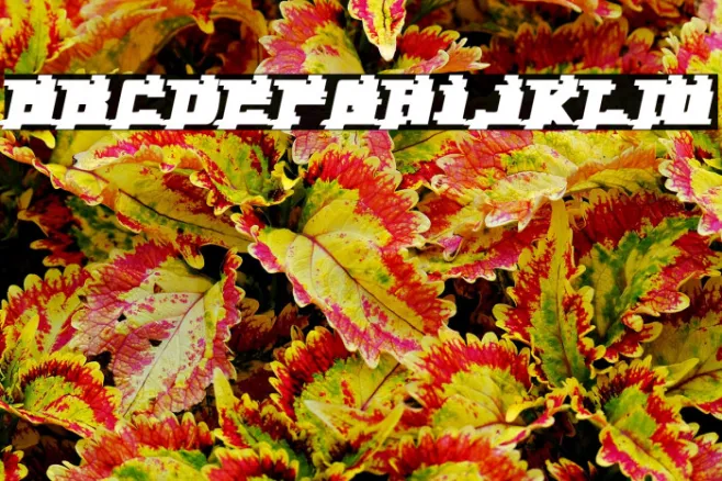 YytriumBack-Regular Example 1