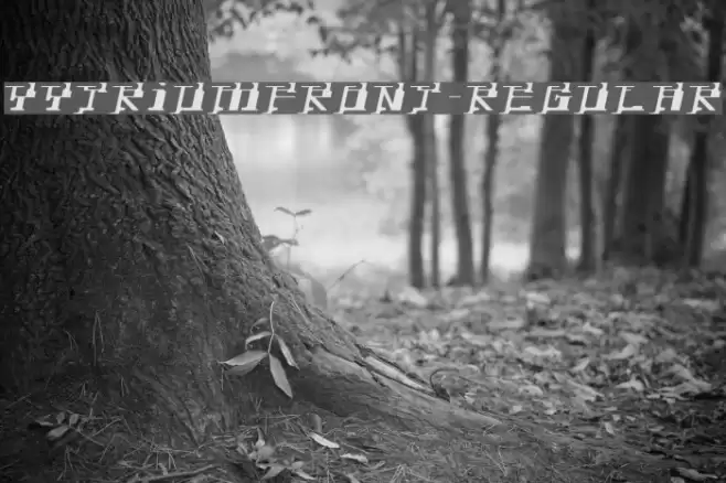 YytriumFront-Regular Font examples