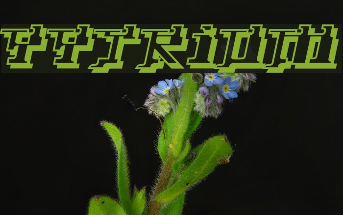 Yytrium Font examples