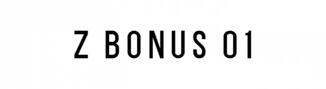 Z BONUS 01  Скачать бесплатные шрифты