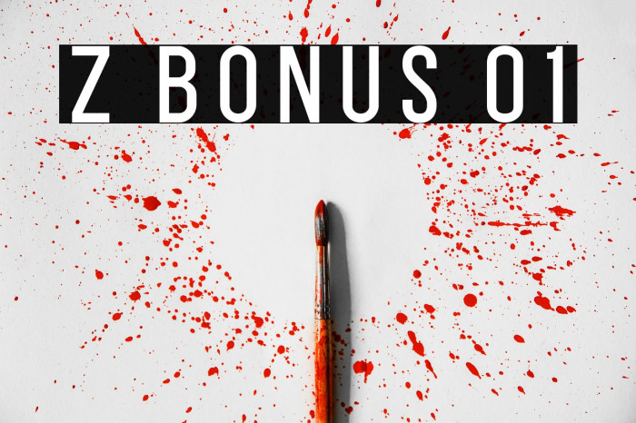 Z BONUS 01 Example 1