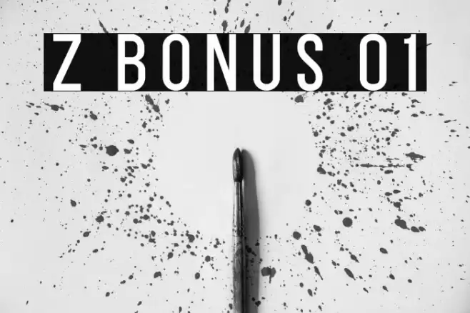 Z BONUS 01 フォント examples