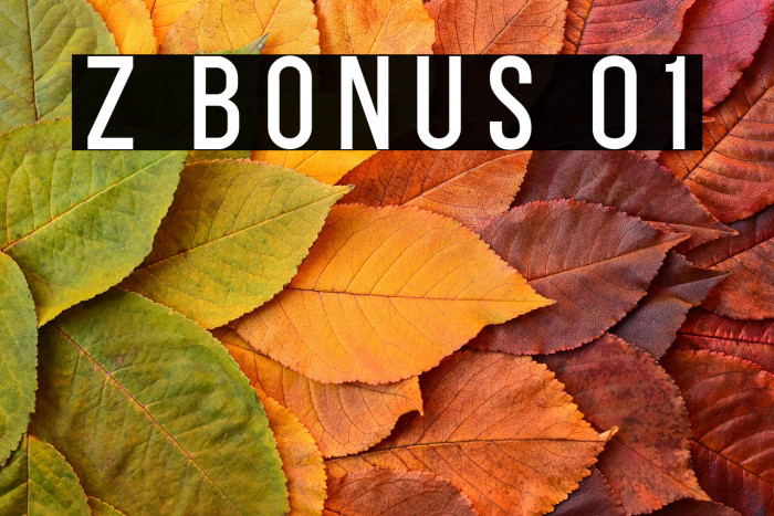 Z BONUS 01 Example 2