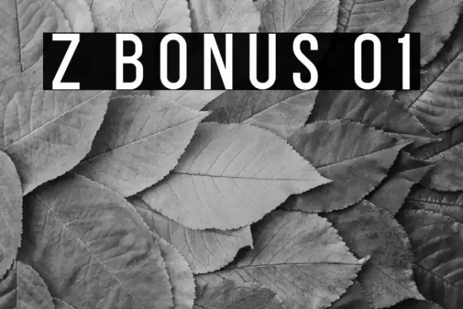 Z BONUS 01 フォント examples