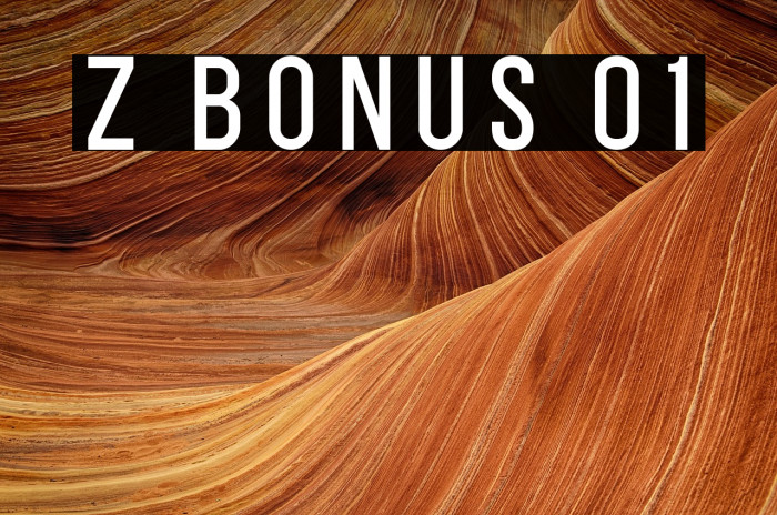 Z BONUS 01 Example 3