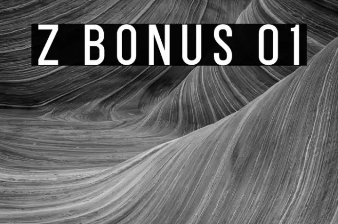 Z BONUS 01 フォント examples