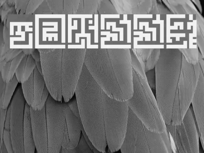 Z_tUBBAnomal Шрифта examples