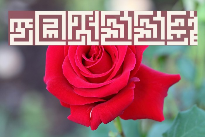 Z_tUBBAnomal Font examples