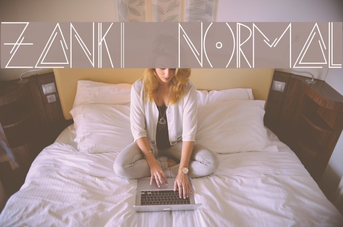 ZANKI Normal Example 2