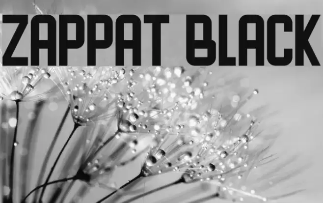 ZAPPAT Black Font examples