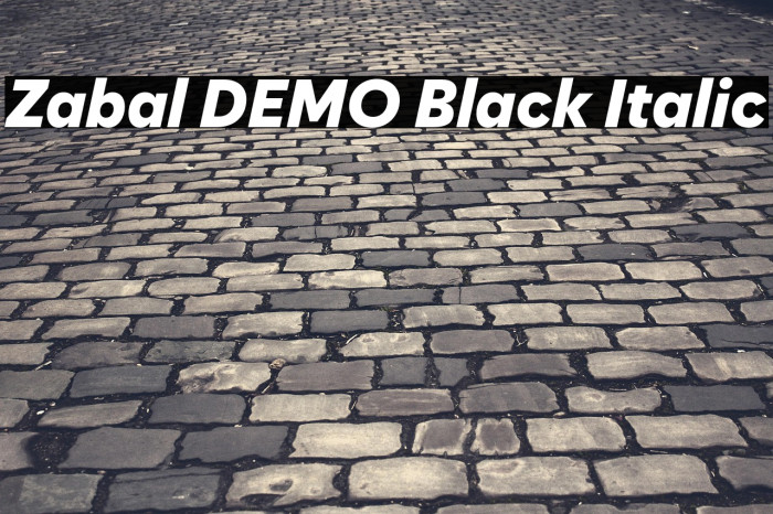 Zabal DEMO Black Italic Example 1