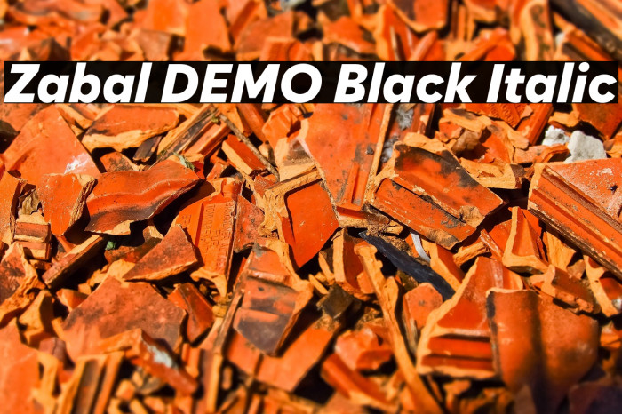 Zabal DEMO Black Italic Example 2