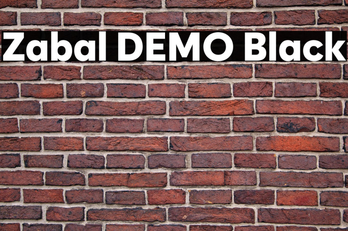 Zabal DEMO Black Example 3