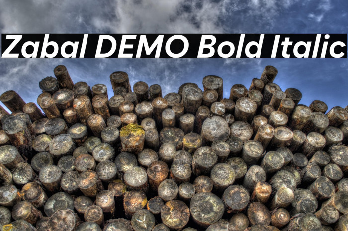 Zabal DEMO Bold Italic Example 1