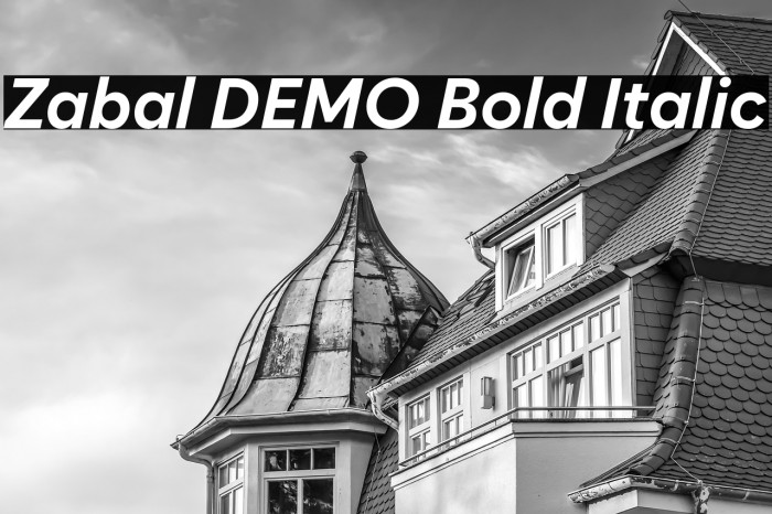 Zabal DEMO Bold Italic Example 2