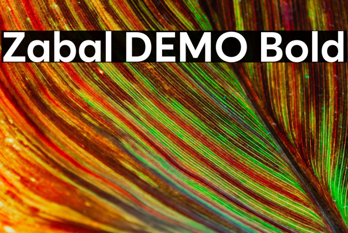 Zabal DEMO Bold Example 2