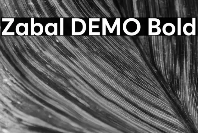 Zabal DEMO Bold Font examples
