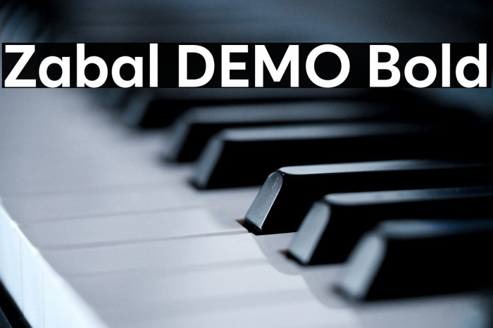 Zabal DEMO Bold Example 3