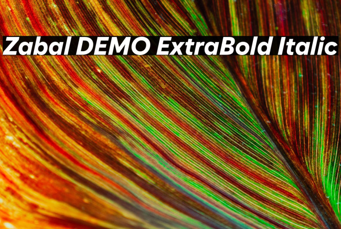 Zabal DEMO ExtraBold Italic Example 1