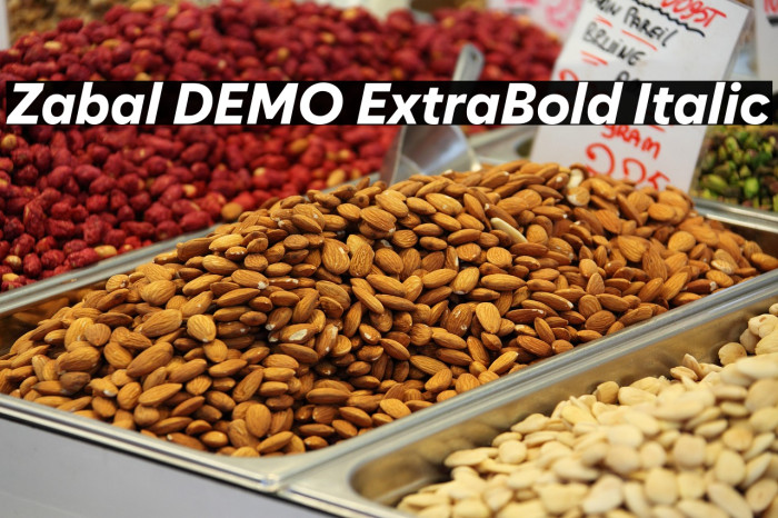 Zabal DEMO ExtraBold Italic Example 2