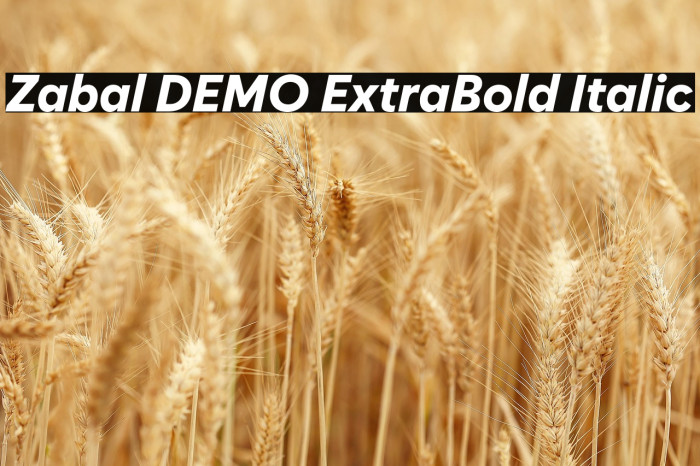 Zabal DEMO ExtraBold Italic Example 3