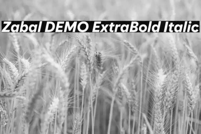 Zabal DEMO ExtraBold Italic Font examples