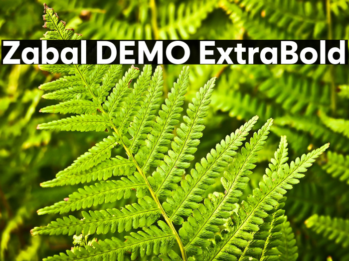 Zabal DEMO ExtraBold Example 1