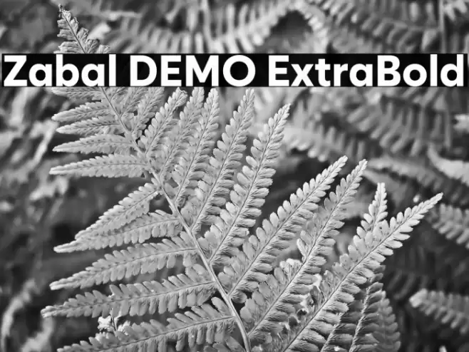 Zabal DEMO ExtraBold Font examples