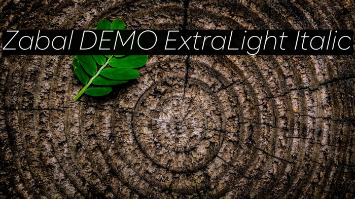 Zabal DEMO ExtraLight Italic Example 3