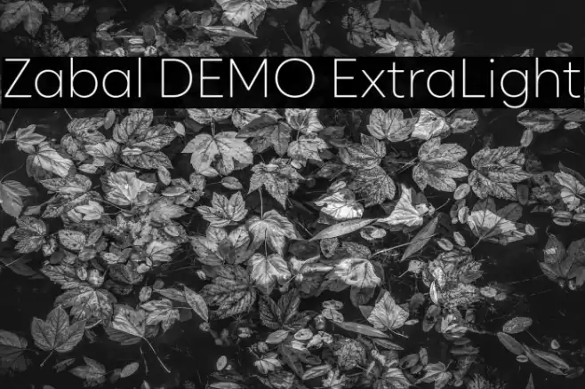 Zabal DEMO ExtraLight Font examples
