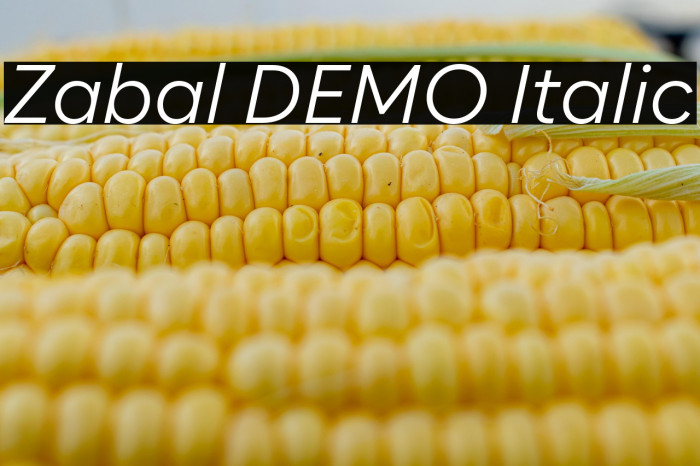 Zabal DEMO Italic Example 2