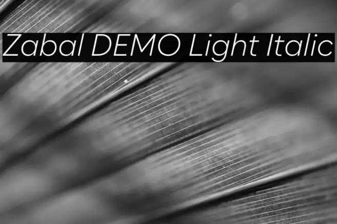 Zabal DEMO Light Italic フォント examples