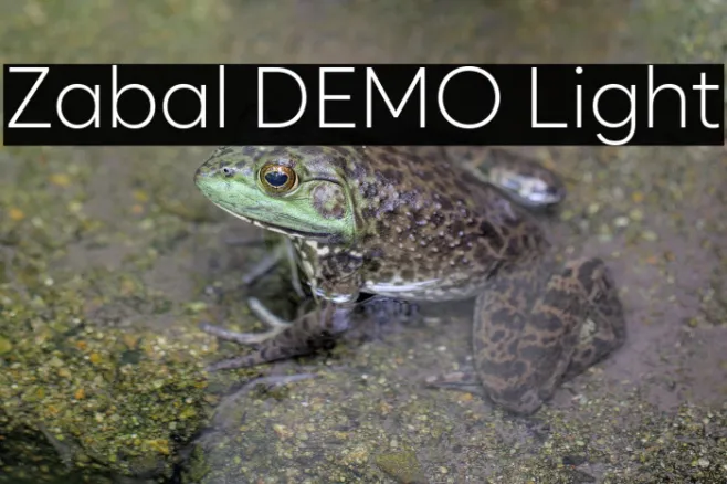 Zabal DEMO Light Example 3