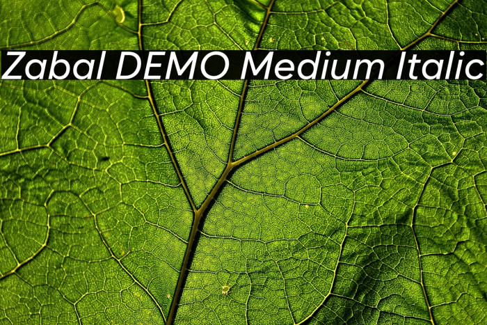 Zabal DEMO Medium Italic Example 3